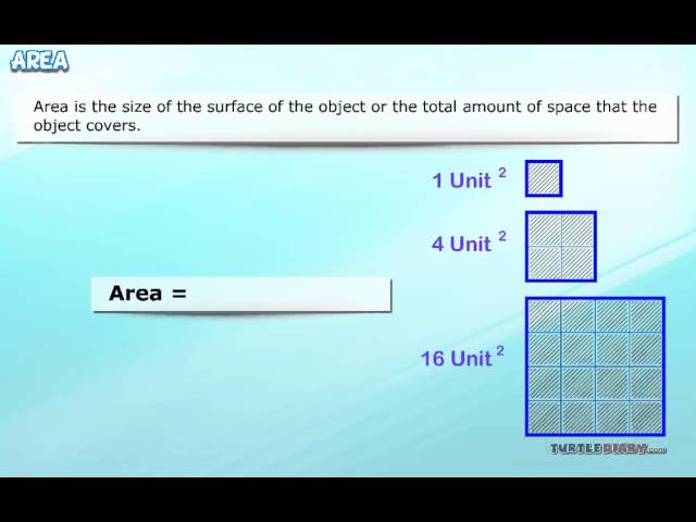 How to Find the Area of Shapes | Math for Kids | English