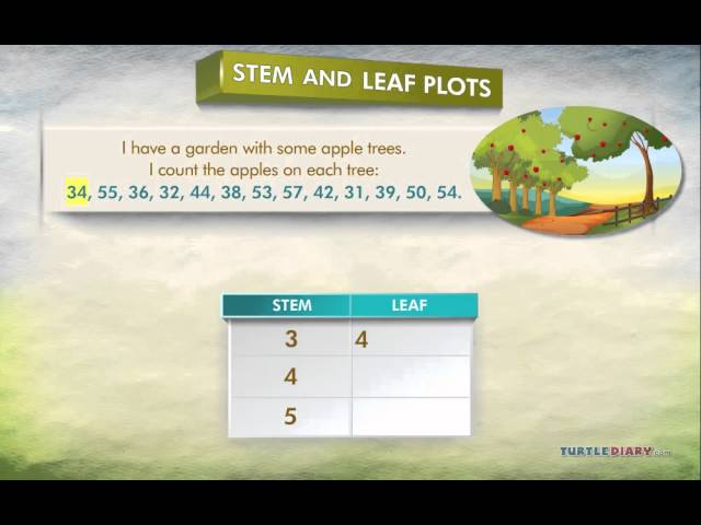 What is a Stem and Leaf Plot & How Does IT Organize Data? Math for Kids | English