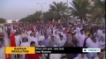[13 Dec 2013] Mass anti-govt. rally held near Manama - English