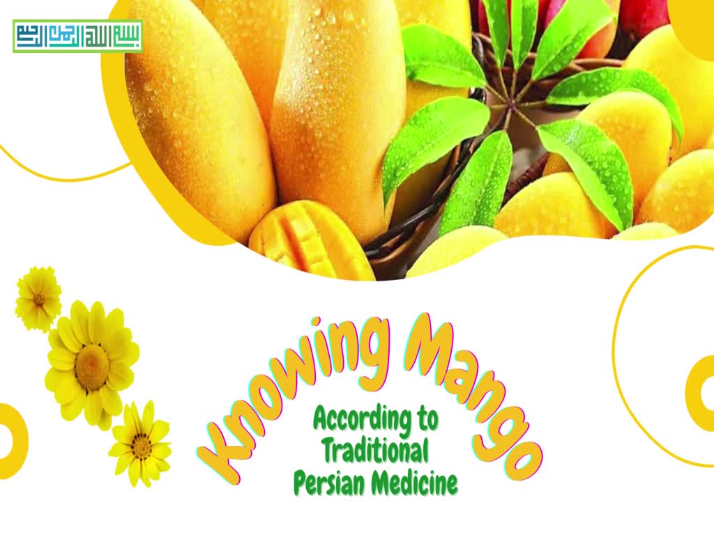 KNOWING MANGO-ACC TO TRADITIONAL PERSIAN MEDICINE- TIBB SUNATI IRANI-ENG