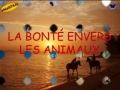 Bonte envers les animaux - francais French