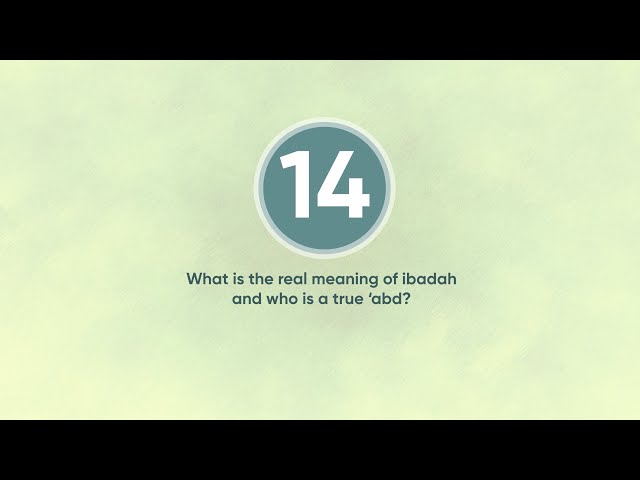 What is the real meaning of ibadah and who is a true 'abd? | English