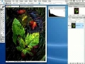 photoshop 8 tutorial - 25histogram-english