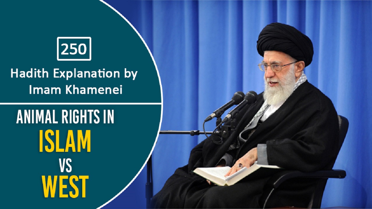  [250] Hadith Explanation by Imam Khamenei | Animal Rights in Islam VS West | Farsi Sub English