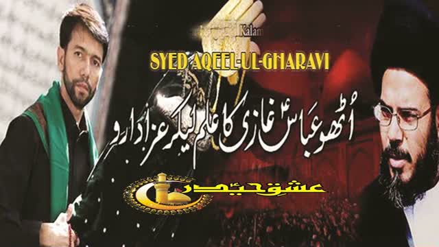 [Audio Noha] Main Jang Karunga - Br. Ali Safdar - Muharram 1437/2015 - Urdu