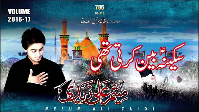6 Nauha Moharram 1438 Hijari 2016 SaKinA SA Bain Karti Thi By Mesum ALi ZaiDi - Urdu 