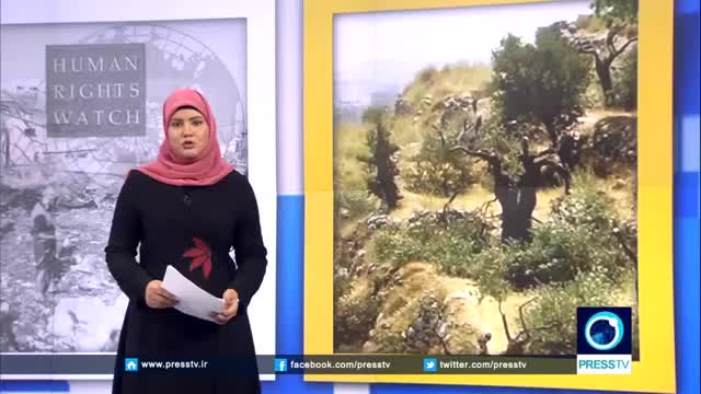 [7th April  2016] Israeli cuts 47 Palestinian olive saplings in East Jerusalem | Press TV English