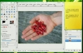 GIMP - Removing photo backgroundsl - English