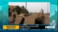 [30 Dec 2013] Protester killed in fresh clashes in Anbar Province in Iraq - English