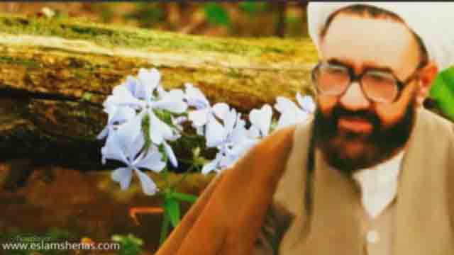 علی (ع) مردی انقلابی بود | شهید مطهری | Farsi
