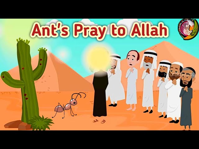 Islamic Cartoons for Kids| Ant's Pray to Allah | Prophet Suleman A.S