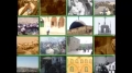 [40] Documentary - History of Quds - بیت المقدس کی تاریخ - Nov.22. 2012 - Urdu