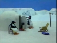 Kids Cartoon - PINGU - Pingu Builds an Igloo - All Languages Other