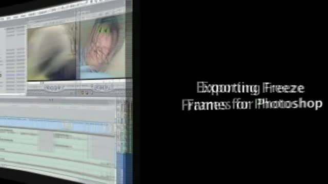 [04] Final Cut Pro Tutorial - Exporting Still Images - English