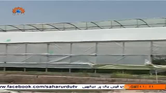 [22 June 2014] Special Report - خصوصی رپورٹ - Agricultural Expert and Jobs Opportunities - Urdu