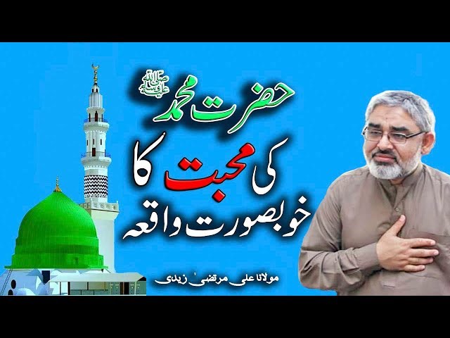 [Clip] Hazrat Muhammad saww ki Aam Aadmi say muhabbat | H.I Syed Ali Murtaza Zaidi Urdu 