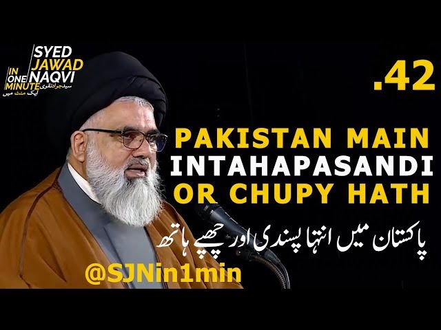 [Clip]  SJNin1Min 42  - PAKISTAN MAIN INTAHAPASANDI OR CHUPY HATH - Urdu