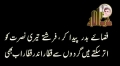 [Ak Waqea] حذب اللہ کی کامیابی کا راز - H.I Amin Shaheedi - Urdu
