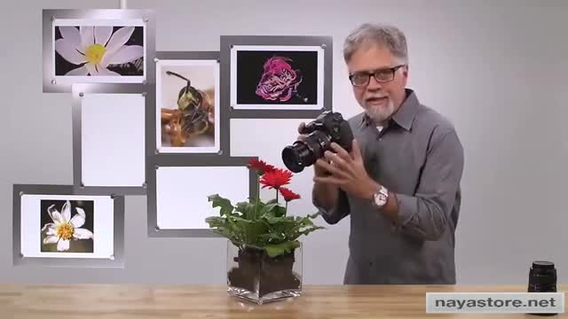 Foundations of Photography - Macro and Close-Up: Understanding minimum focus distance - English