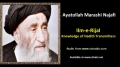[ENGLISH] Ilm e Rijal - Excerpt from Ayatullah Marashi Najafi Speech - English