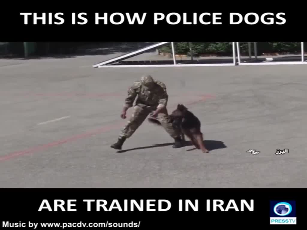 [20 May 2019] This is how police dogs are trained in Iran - English