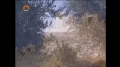 [15] Documentary - History of Quds - بیت المقدس کی تاریخ - Oct.26. 2012 - Urdu