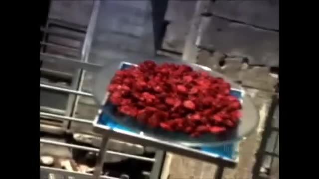 How its Made Cranberries - English