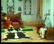 Movie - Al-Waqya Al-Taff - 08 of 24 - Arabic