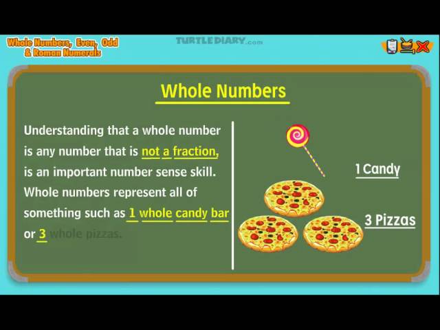 What are Whole Numbers? | Math for Kids | English