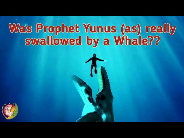 Swallowed by the Fish | Jonah | Prophet Yunus A.S | Quranic Story | Prophet Stories for Kids |