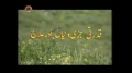 [08 Mar 2013] Natural weeds and Cure - قدرتی جڑی بوٹیاں اورعلاج - Urdu