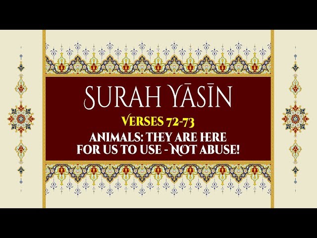 Animals: They are here for us to use - NOT abuse - Surah Yaseen - Verses 72-73 - English