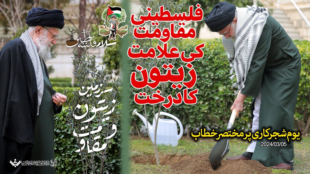 {Speech, Doc} Plantation Day | زیتون کا درخت فلسطینی مقاومت کی علامت | Urdu