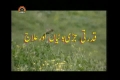 [23 Mar 2013] Natural weeds and Cure - قدرتی جڑی بوٹیاں اورعلاج - Urdu