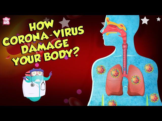 How Corona Virus Affects Your Body? | COVID-19 | The Dr Binocs Show | English
