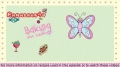 Batool Butterfly is baking cookies this Ramadhan! English