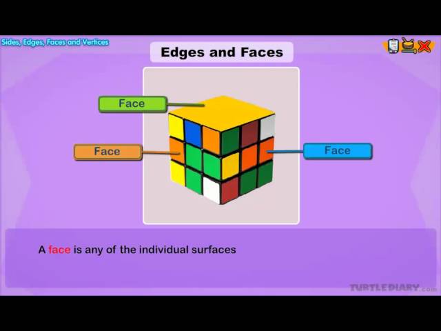Edges and Faces of Shapes Explained | Math for Kids | English