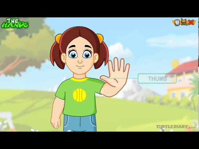 Learn the Parts of the Body | THE HAND | *COOL* Science for Kids - English