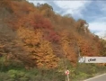 پاییز ؛ فصل هزار رنگ Autumn: Season of Thousands Colors - Farsi