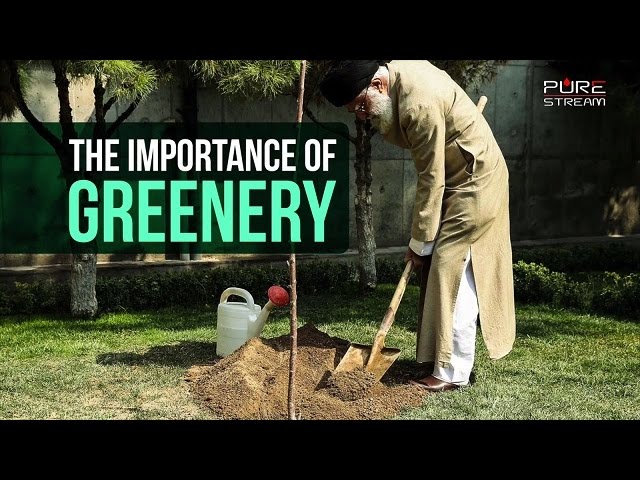 The Importance of Greenery | Imam Sayyid Ali Khamenei | Farsi sub English