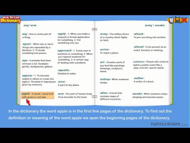 How to Use a Dictionary | Grammar for Kids | English