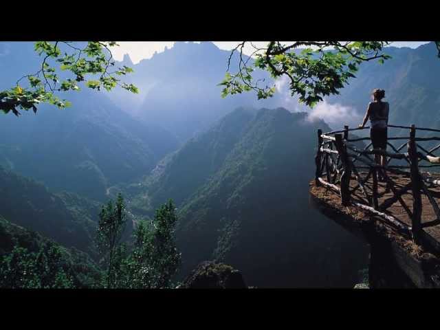 Nature Beautiful short video HD | All Languages