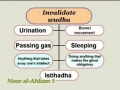 Lesson 14 on Acts invalidating Wudhu -Noor al-Ahkam -English
