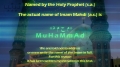 Brothers of the Holy Prophet (pbuh & hp) - English