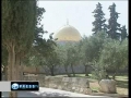 Muslims celebrate Prophet Mohammad birthday in al-Aqsa - 15Feb2011 - English