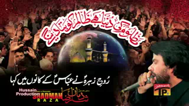 [02] Roh E Zehra Ne - Shadman Raza - Noha 2014-15 - Urdu