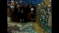 [28 Dec 2012] Tehran Friday Prayers - حجت الاسلام صدیقی - خطبہ نماز جمعہ - Urdu