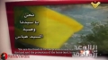 Hezbollah | Islamic Resistance | We are coming to victory | Soldiers of Victory - Arabic sub English
