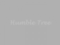 Poem: HUMBLE TREE by Yahya Naqvi - English