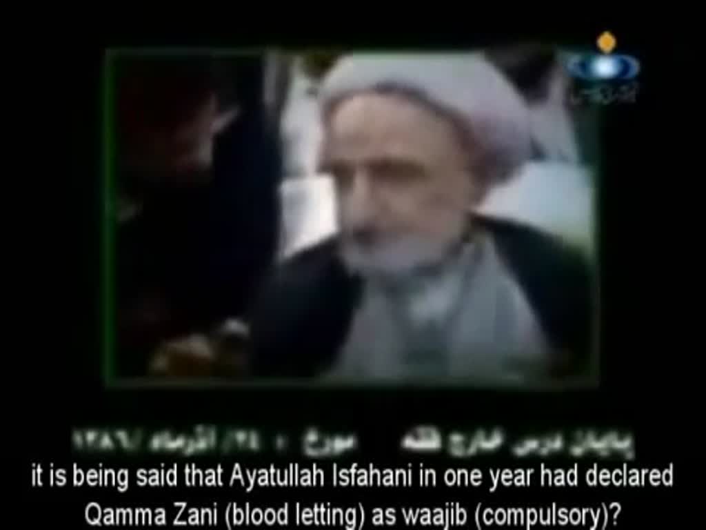 Ayatullah Behjat - Clarification on Tatbir incident - Farsi sub English